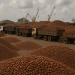What’s driving the sudden cocoa pile-up at Ivory Coast’s busiest ports?