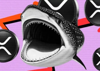 XRP Price Falls 7.5% as $72M Liquidations Hit, Whales Quietly Buying!