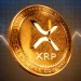 XRP Price Crashes 10%, But This Isn’t Panic Selling Here’s What On-Chain Data Shows