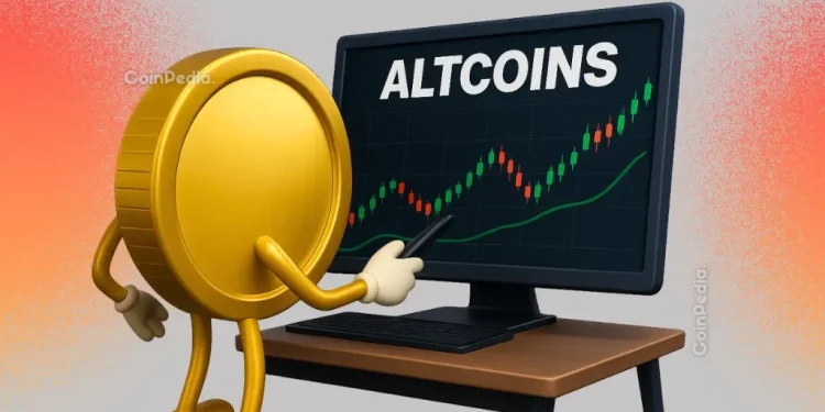 Top Altcoins To Stack Now For 50X Gains