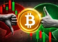 Bitcoin Whale Accumulation Slows