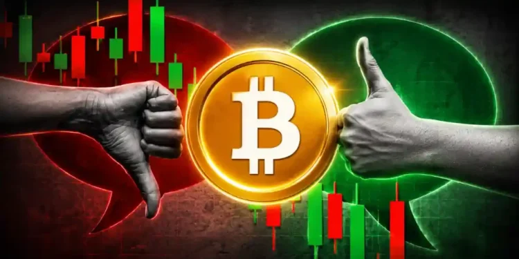 Bitcoin Whale Accumulation Slows