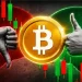 Bitcoin Whale Accumulation Slows
