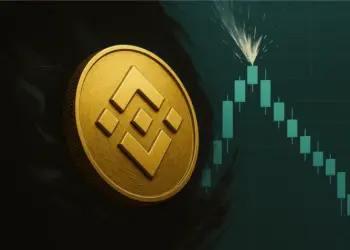 BNB Surpasses $800 as Crypto Market Recovery Extends